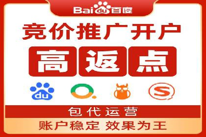 百度推广实战：成功企业的营销策略